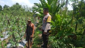 Polsek Kuripan Dorong Ketahanan Pangan, Warga Antusias!