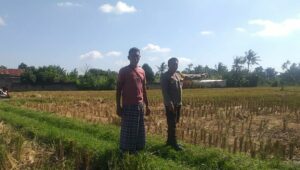 Bhabinkamtibmas Desa Jagaraga Dorong Kemandirian Pangan dari Pekarangan Warga