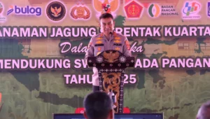 Ketahanan Pangan Dimulai dari NTB, Polri Kawal Penanaman Jagung Serentak