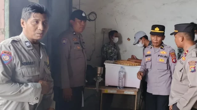 Petani Lega! Jagung Kering Terserap Bulog dengan Harga Acuan Pemerintah