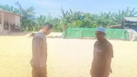 Sinergi Polisi dan Petani Jaga Pasokan Jagung di Lombok Barat