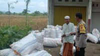 Jagung Melimpah, Polri Dukung Ketahanan Pangan di Lombok Barat