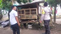 IMG-20251115-WA0823 Motivasi Bhabinkamtibmas, Warga Nekat Bangun Kandang Ayam di Pekarangan