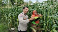 Untitled Sinergi Polri dan Warga Labuapi Wujudkan Kemandirian Pangan Keluarga