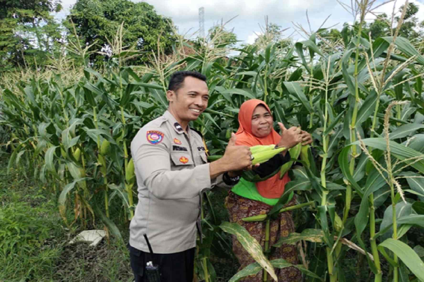 Sinergi Polri dan Warga Labuapi Wujudkan Kemandirian Pangan Keluarga