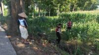 WhatsApp Image 2025-11-02 at 12.18.21 Patroli Ketahanan Pangan: Sinergi Polres Lobar dan Petani Jagung