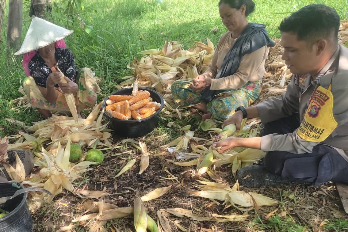 Dari Lahan Pekarangan, Polri Bangun Ketahanan Pangan di Desa