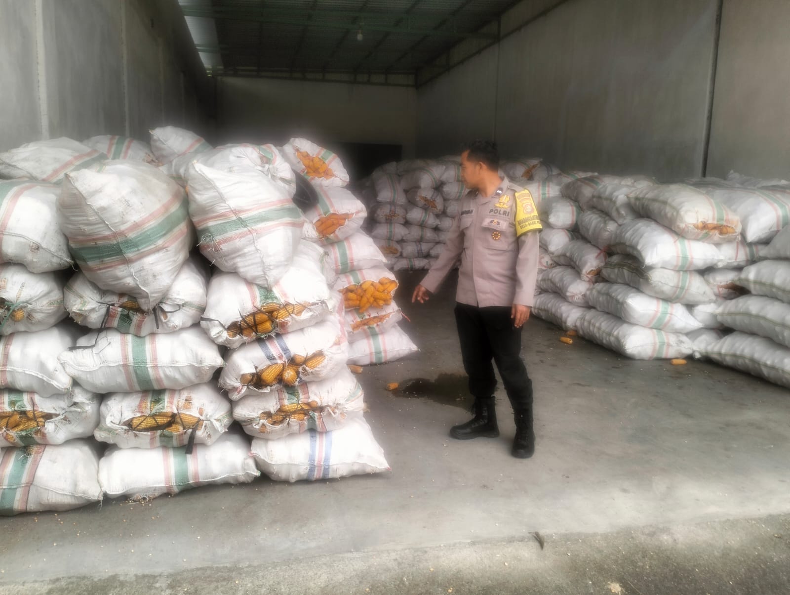 Sinergi Polri dan Bulog Jamin Harga Jual Jagung Petani Lombok Barat