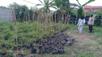 Bhabinkamtibmas Meninting Dorong Optimalisasi Lahan Pekarangan Rumah
