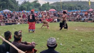 Pelestarian Budaya Sasak: Final Peresean Tarung Pepadu Lombok Berlangsung Aman